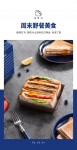 韩国现代（HYUNDAI）QC-KP6218三明治机 早餐机家用电饼铛多功能三文治机机加厚烤盘 深蓝色
